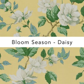 B&L_bloom_season_daisy
