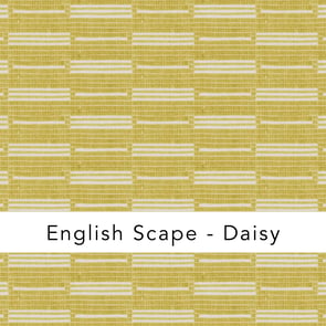 B&L_english_scape_daisy