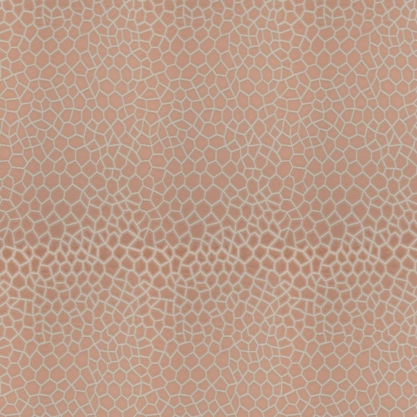Desert-Sky-_-Cameo