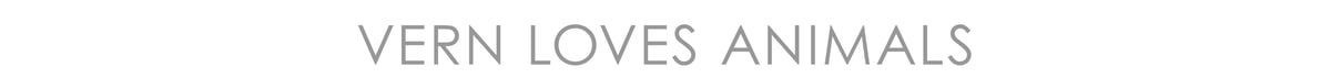 VY_FavoriteThings_LandingPage_VernLovesAnimals