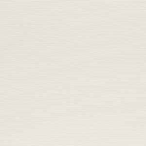 LATITUDE-EGGSHELL
