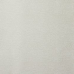 JS_FavoriteThings_LandingPage_30020WLatte