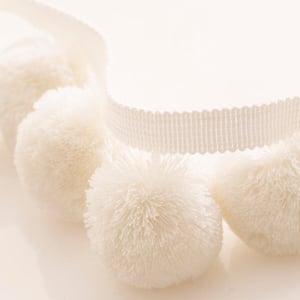 Pudgy Pom Brilliant(1)
