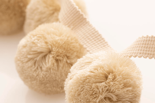 Pudgy Pom Demure(1)